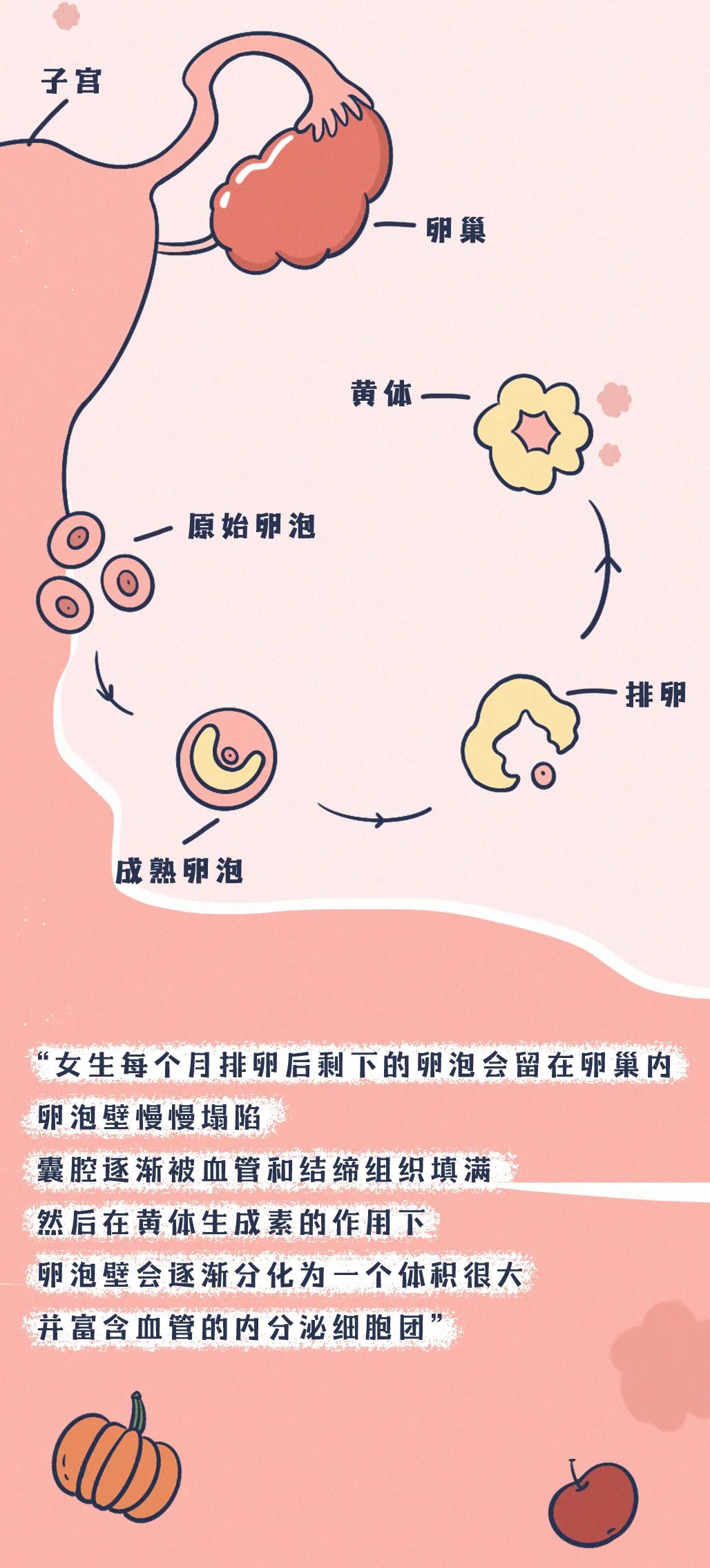 黃體破裂的早期癥狀