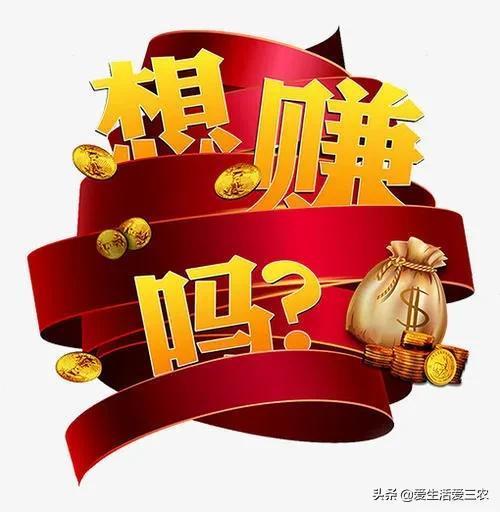 實(shí)現(xiàn)收入目標(biāo)（或賺錢策略/收入提升）