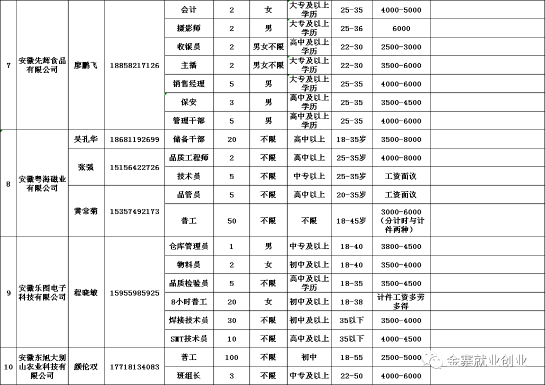 金寨在線最新招聘信息概覽，金寨在線最新招聘信息全面解析