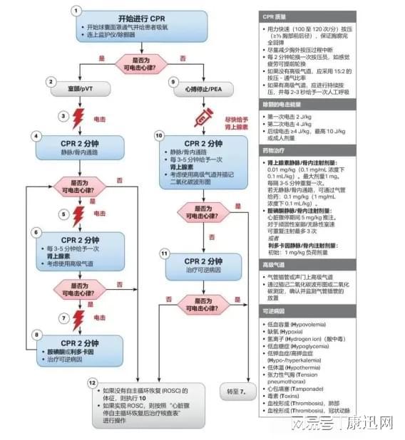 最新流程詳解