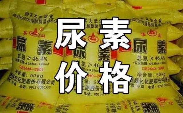 市場動態(tài)分析/深度解析