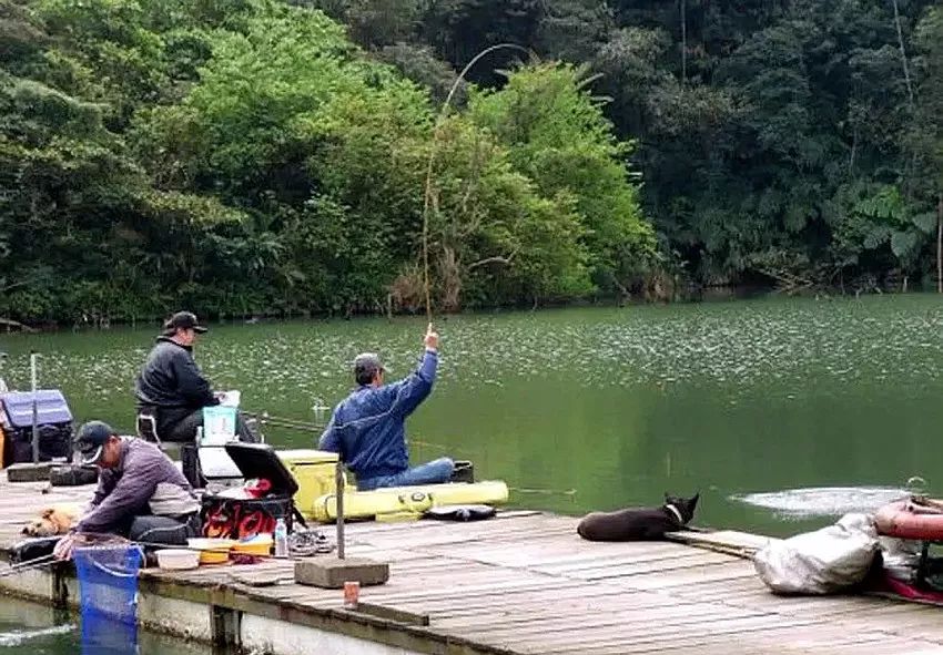 釣魚圈的奇事趣聞，釣魚圈里的奇聞趣事