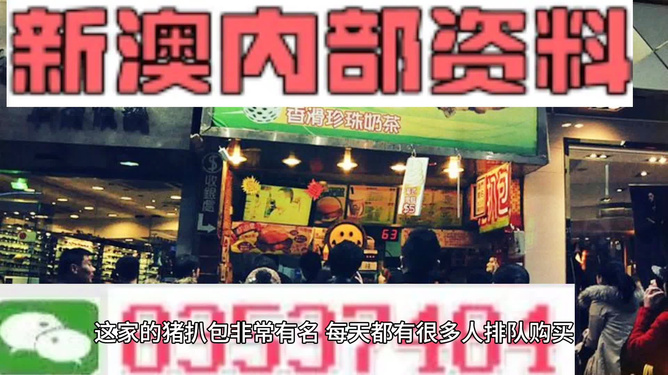 新奧天天精準資料大全，深度解析與實際應用，新奧天天精準資料大全，深度解析及實際應用指南