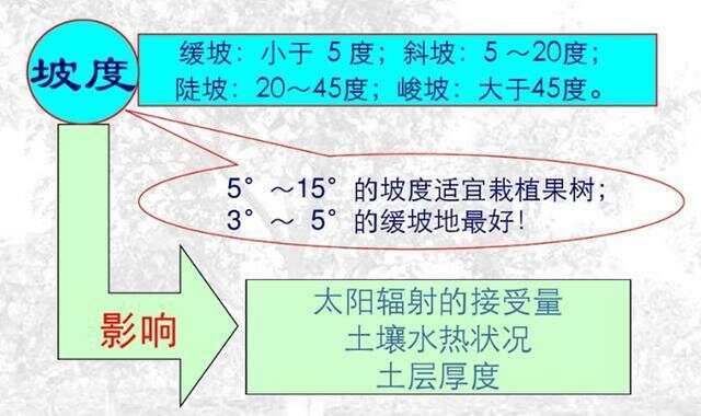 坡度超過25度耕地減少的原因分析，坡度超過25度耕地減少的原因探究