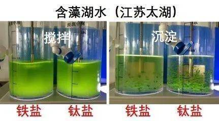 最新凈水材料的革新與應(yīng)用，凈水材料革新與應(yīng)用進(jìn)展