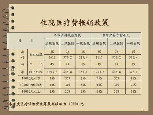 最新醫(yī)保報銷政策解讀與應用指南，最新醫(yī)保報銷政策解讀與應用指南手冊