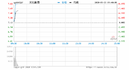 深度解析與前景展望（或股票深度解析