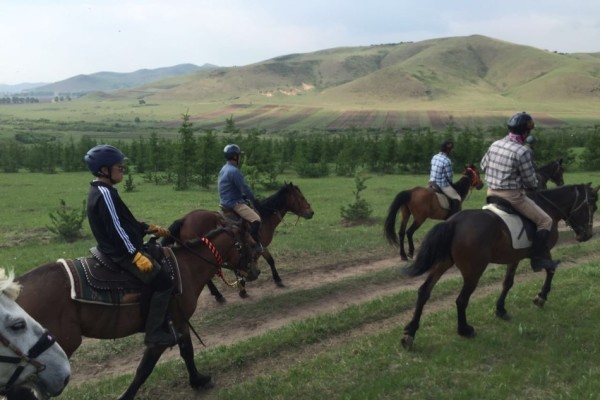 關(guān)于澳門特馬今晚開獎(jiǎng)的討論與警示，澳門特馬今晚開獎(jiǎng)討論及警示