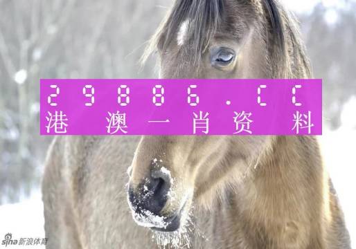 澳門精準(zhǔn)一肖一碼，揭示背后的犯罪風(fēng)險(xiǎn)與警示公眾的重要性，澳門精準(zhǔn)一肖一碼背后的犯罪風(fēng)險(xiǎn)與公眾警示重要性揭秘