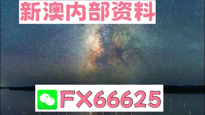 探索未來(lái)之門，2024新澳正版免費(fèi)資料大全的獨(dú)特魅力與機(jī)遇，探索未來(lái)之門，2024新澳正版免費(fèi)資料大全的魅力與機(jī)遇