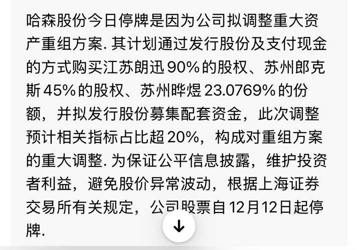 哈森股份怎么了，深度探究與前景展望，哈森股份深度探究，現(xiàn)狀分析與未來前景展望