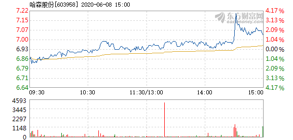 哈森股票最新消息，市場走勢與行業(yè)展望，哈森股票最新動態(tài)，市場走勢及行業(yè)展望分析