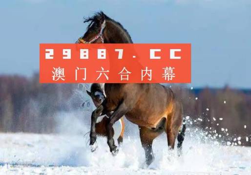 今晚澳門精準(zhǔn)一肖一馬預(yù)測(cè)及分析，澳門精準(zhǔn)一肖一馬今晚預(yù)測(cè)及分析揭秘