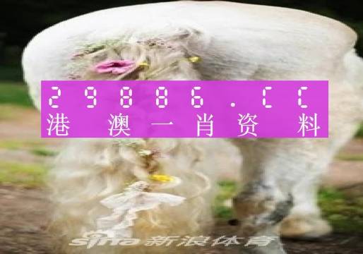 澳門內(nèi)部資料精準(zhǔn)大全2023，揭示背后的風(fēng)險(xiǎn)與挑戰(zhàn)，澳門內(nèi)部資料精準(zhǔn)大全揭秘，風(fēng)險(xiǎn)與挑戰(zhàn)并存于2023年