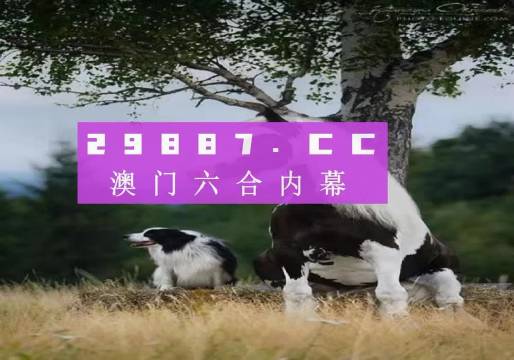 澳門今晚開特馬四不像圖——探索澳門彩票的奧秘，澳門彩票奧秘探索，特馬四不像圖今晚揭曉