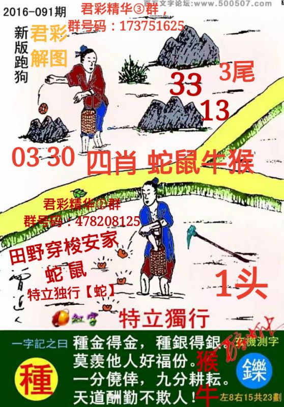 探索精準跑狗圖，數(shù)字組合的魅力與策略，精準跑狗圖數(shù)字組合的魅力與策略探索