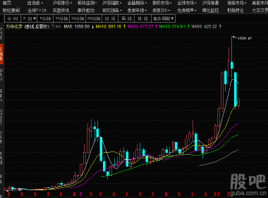 股吧600309，深度解析與前景展望，股吧600309深度解析與未來(lái)前景展望