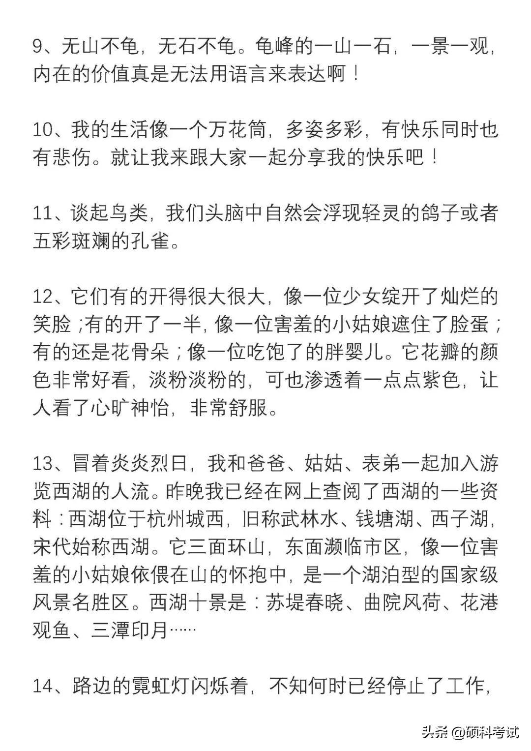 四年級(jí)新聞?wù)?，一則關(guān)于環(huán)保的新聞報(bào)道，四年級(jí)環(huán)保新聞?wù)?，關(guān)注環(huán)境保護(hù)的最新動(dòng)態(tài)