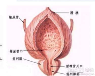 治療前列腺炎最好方法