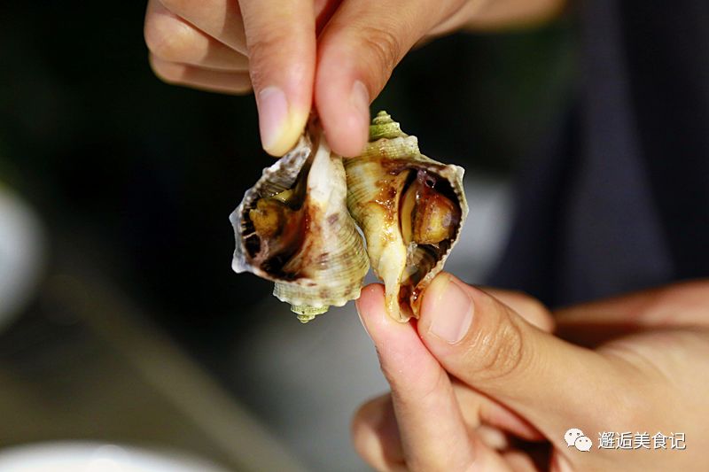 關于寶貝腿打開一點就能吃扇貝的探討，寶貝腿型與扇貝食用，一種有趣的探討