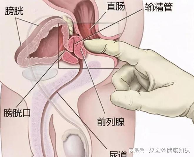 治愈可能性解析與探討