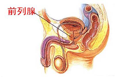 前列腺自我按摩手法圖解，一種有效的自我保健方法，前列腺自我按摩手法圖解，有效保健新方法！