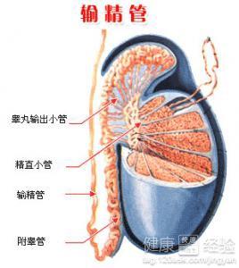 男性結(jié)扎手術(shù)費(fèi)用多少，全面解析費(fèi)用構(gòu)成與影響因素，男性結(jié)扎手術(shù)費(fèi)用詳解，構(gòu)成、影響因素全解析