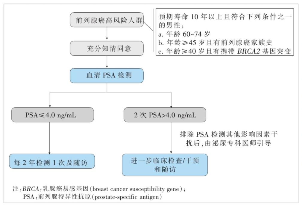 男性健康咨詢?cè)诰€，探索新時(shí)代男性健康之路，男性健康咨詢?cè)诰€，探索新時(shí)代男性健康之路的旅程