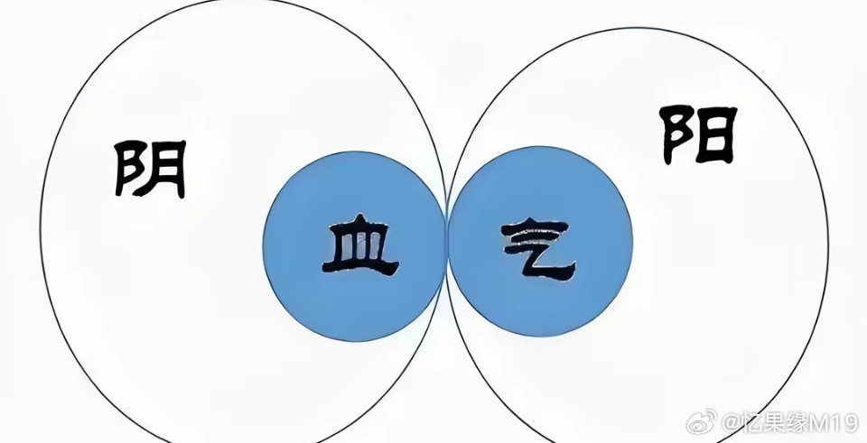 傳統(tǒng)醫(yī)學(xué)的奧秘與力量