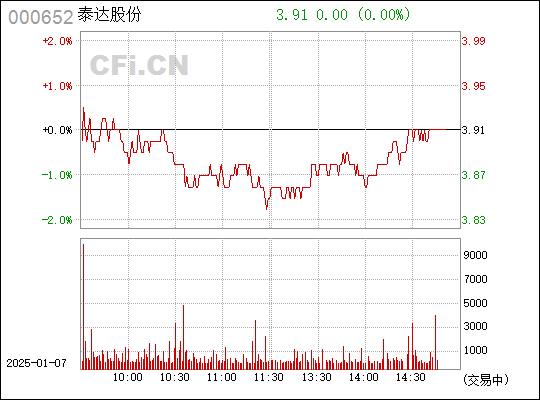 泰達股份股票——深度解析與前景展望，泰達股份股票全面解析與未來前景展望