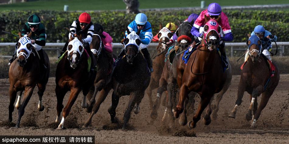 探索神秘數(shù)字組合，66O678與王中王定碼四不像一肖，揭秘神秘數(shù)字組合，王中王定碼四不像一肖與數(shù)字組合探索