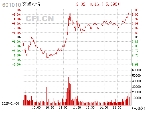 探索文峰股份，601010的獨特魅力與未來展望，文峰股份（601010）的獨特魅力及未來展望探索