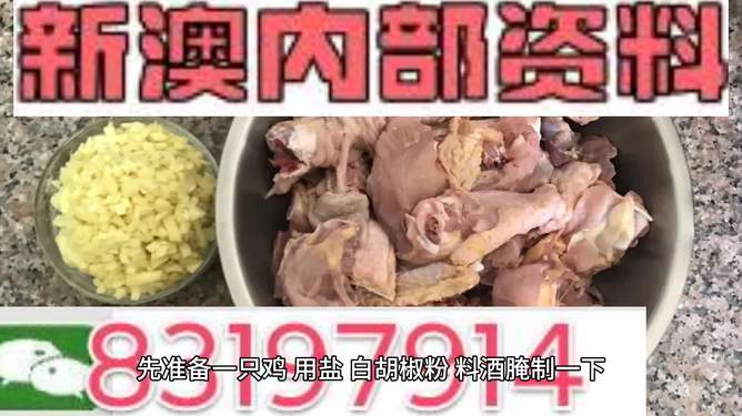 探索未來的澳門——關(guān)于新澳門資料雞號的深度解析，澳門未來展望，深度解析新澳門資料雞號