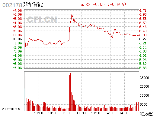 解碼股票代碼002178的魅力