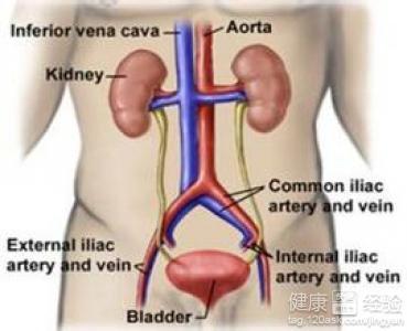 前列腺疾病的治療與藥物選擇，前列腺疾病治療與藥物選擇攻略