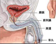 前列腺檢查的重要性