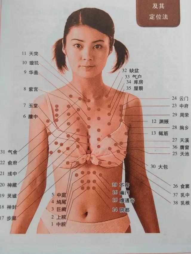 女性穴位圖解