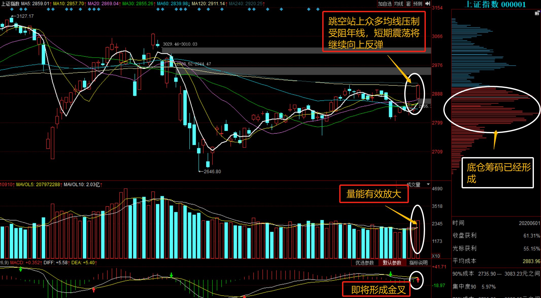 股票行情深度解析，聚焦600736，股票深度解析，聚焦代碼600736的行情動(dòng)態(tài)