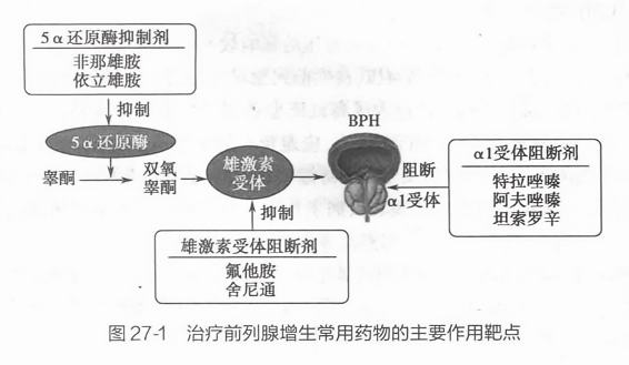 治療前列腺增生的藥物，理解選擇與應(yīng)用的重要性，前列腺增生治療藥物的選擇與應(yīng)用，理解其重要性