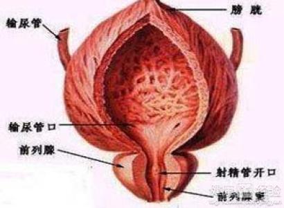 chenweixia 第15頁