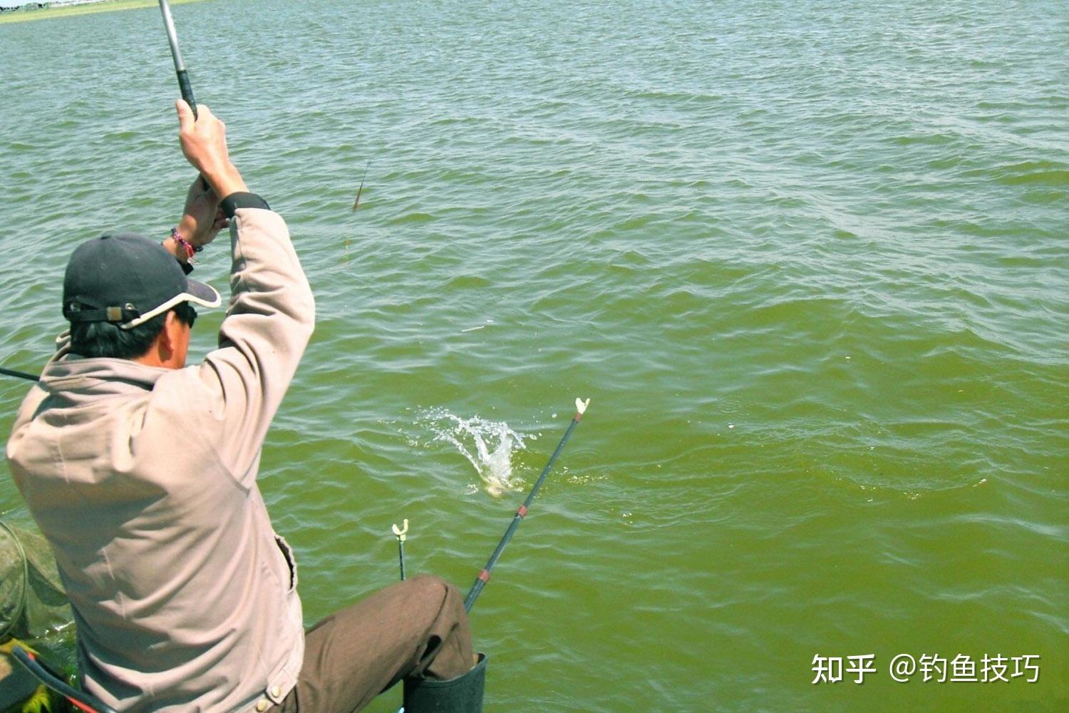 釣魚技巧詳解，如何精準(zhǔn)捕捉心儀的魚獲，釣魚技巧全解析，精準(zhǔn)捕捉心儀魚獲攻略