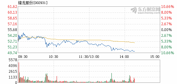 鋒龍股份股票，探究其潛力與價值，鋒龍股份股票，深度解析其潛力與價值