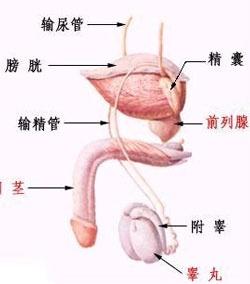 前列腺癌的癥狀