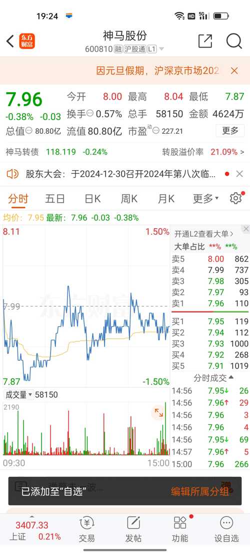 神馬股份（股票代碼，600810）股吧深度解析，神馬股份（股票代碼，600810）股吧全面深度解析