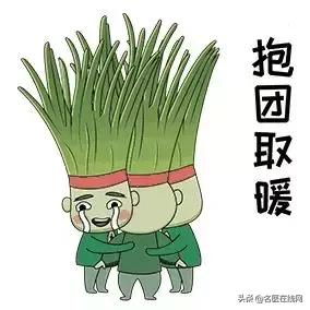 韭菜籽怎么吃壯陽效果好