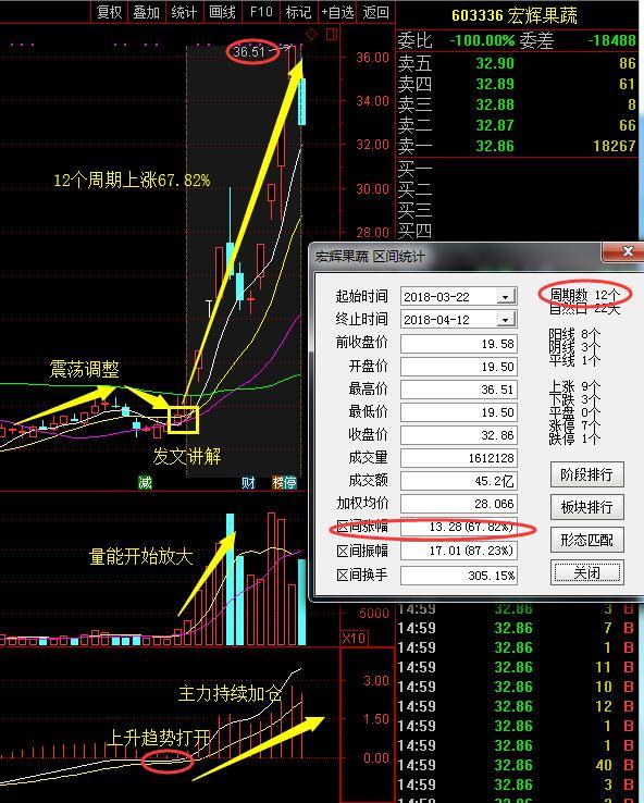 股票603336，深度解析與前景展望，股票603336深度解析與前景展望，投資視角分析