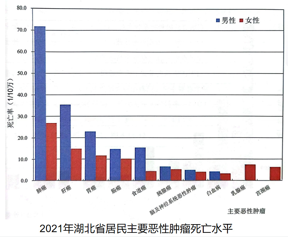 睪丸癌死亡率及其相關(guān)因素探討，睪丸癌死亡率及其影響因素分析