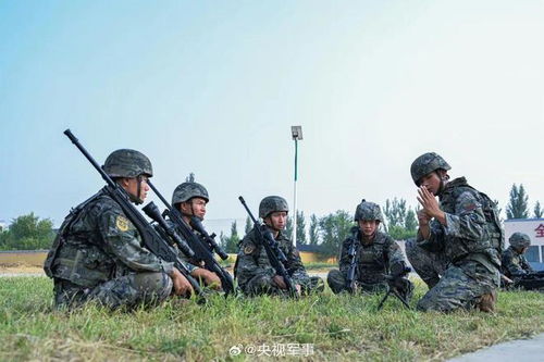 全國雇傭兵征兵網(wǎng)官網(wǎng)，探索現(xiàn)代軍事力量的招募與培養(yǎng)之路，全國雇傭兵征兵網(wǎng)官網(wǎng)，現(xiàn)代軍事力量招募與培養(yǎng)之路探索